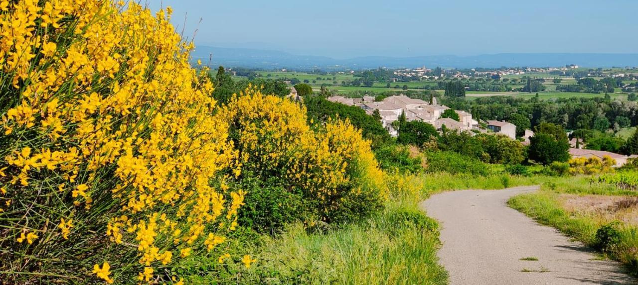 Maison De Village En Provence Avec Terrasse De 33M2 Saint-Roman-de-Malegarde Ngoại thất bức ảnh